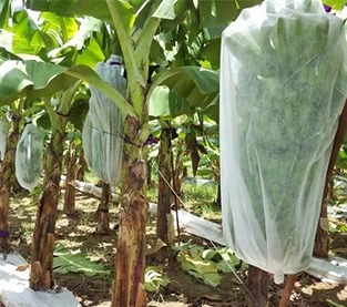 China Verwendung von speziellen Vliesstoffen für Obstkörbe Hersteller