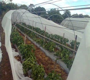 China How to cover non-woven fabric in greenhouse manufacturer