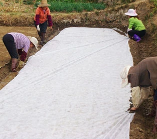 中国 農業用不織布のグラム数は、主に用途の一致に依存します メーカー