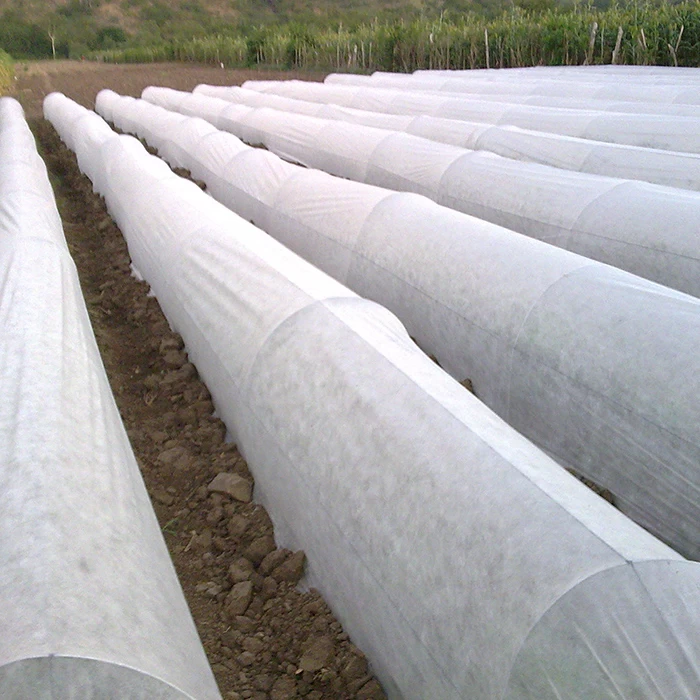الصين محبوكة غطاء المحاصيل بائع غطاء حماية الزراعة الأشعة فوق البنفسجية المعالجة غير المنسوجة غطاء سقيفة المحاصيل الصانع