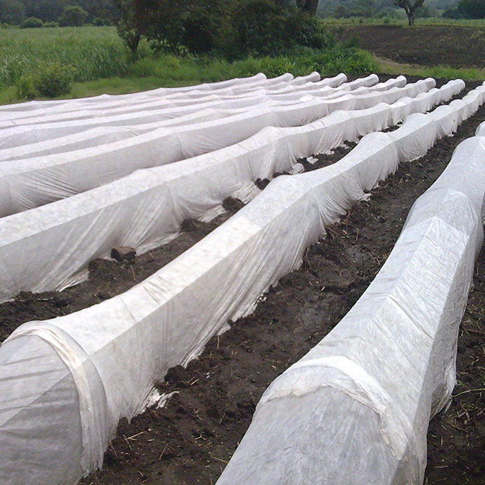 China Agricultural Non-woven Material Manufacturer Spunbonded Non Woven Fabric Frost Blanket Row Cover manufacturer