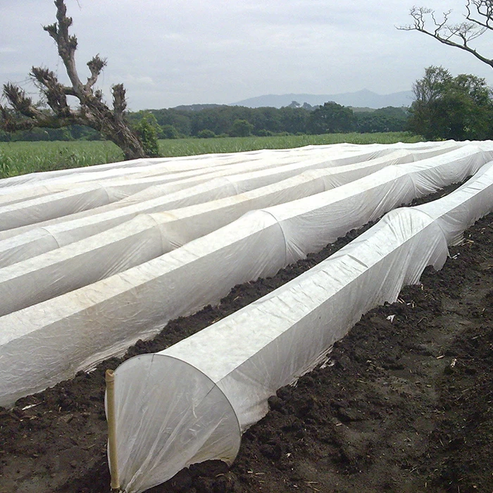 China Nonwoven Crop Cover Supplier Agriculture PP Spunbond Nonwoven Frost Fleece Fabric Row Cover manufacturer
