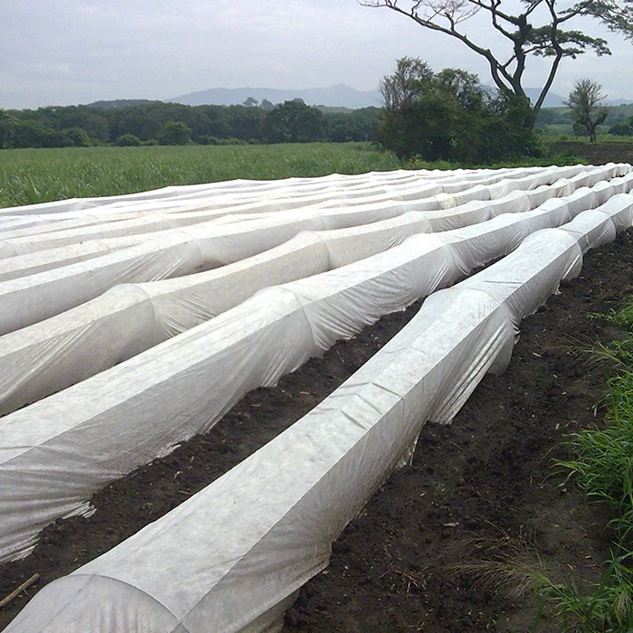 China Non Woven Plant Blanket Supplier Strawberry Plant Safety Covering Biodegradable Mulch Film Sheet manufacturer