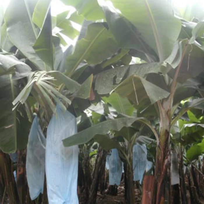 China Banana Cover Bags Company, PP Spun-bonded Protection Banana Cover Bags, Banana Growing Bags Supplier In China manufacturer