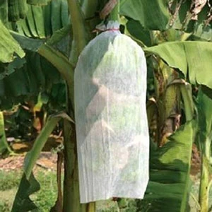 China Banana Protection Cover Factory, Non-pollution Banana Protection Cover, Banana Cover Manufacturer In China manufacturer