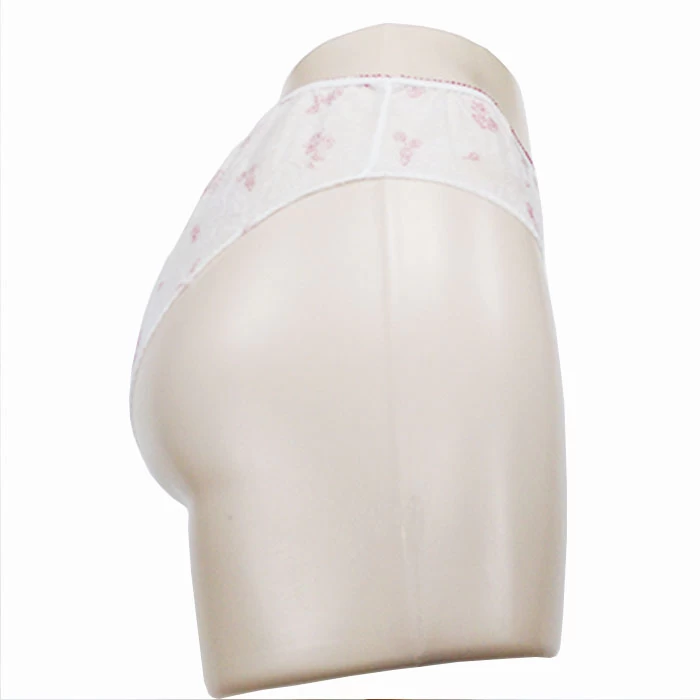 China Disposable Panties Bulk manufacturer