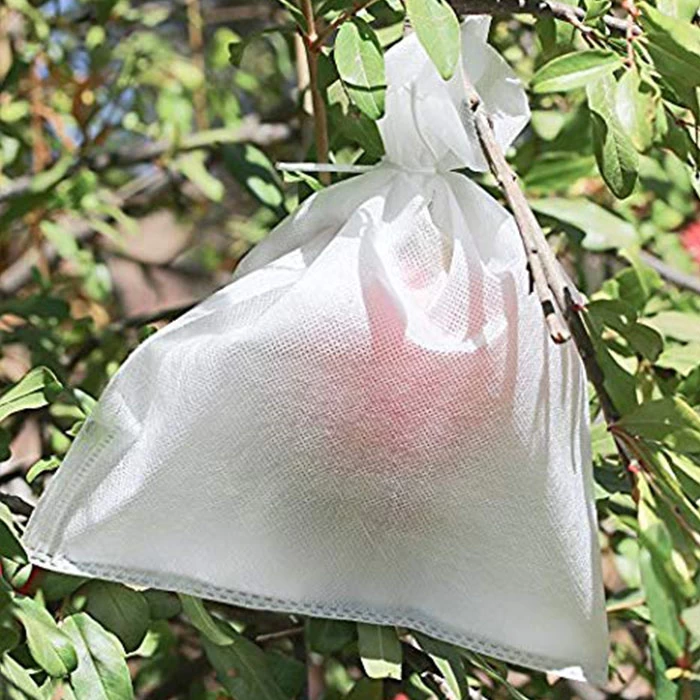 China Fruit Growing Bags Company, Promotion And Protection Fruit Growing Bags, Fruit Protection Bags Vendor In China manufacturer