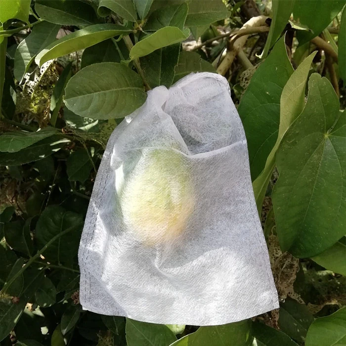 China Mango Covering Bags Factory, Agricultural Use Mango Covering Bags, Mango Protection Bags Supplier In China manufacturer