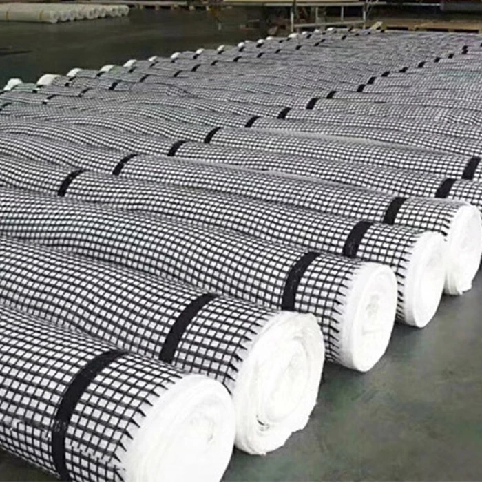 China Weld Steel Plastic Geogrid Superior Quality For Steel Plastic Geogrid Supplier manufacturer
