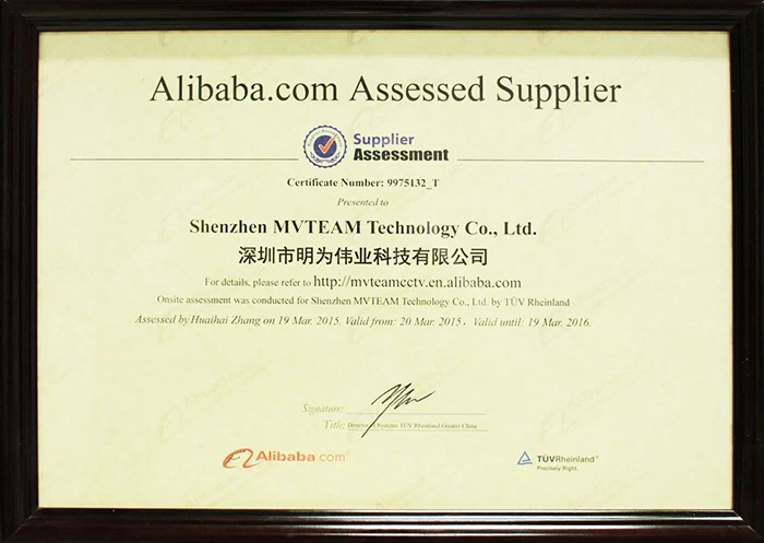 MVTEAM Alibaba Assessed Supplier
