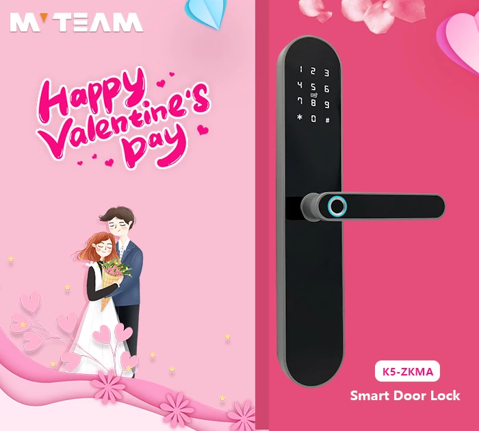 Smart Door Lock - 2020 Valentine's Day Gift Choice