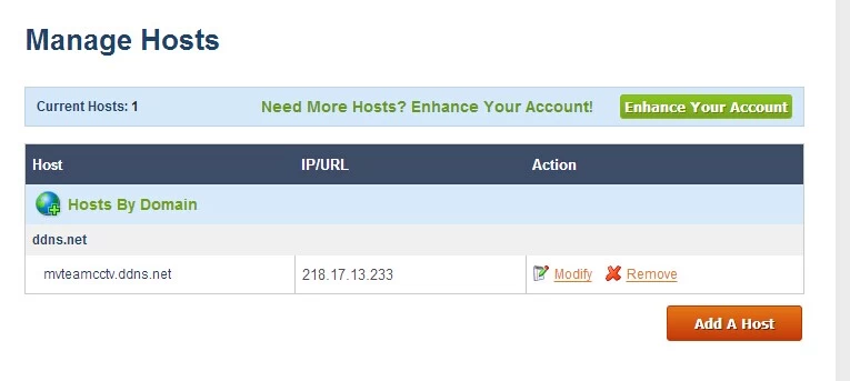 Manage hosts. No-IP domain name. Secure Force no IP redirect.