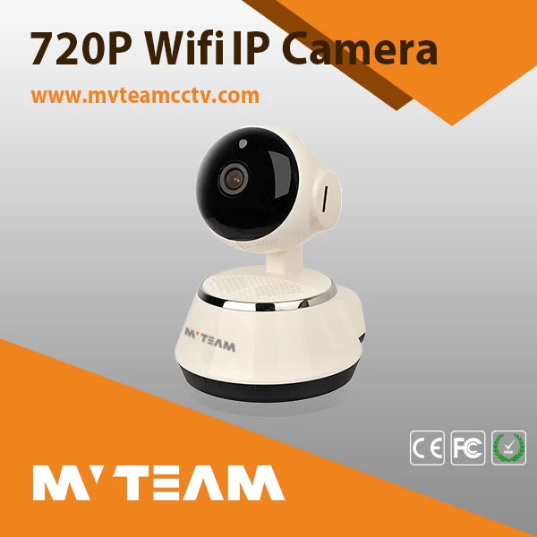 Common Types of MVTEAM Security Cameras