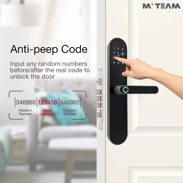 2020 OEM防盗酒店数字锁安全WiFi APP指纹商用生物识别前门锁，带推或拉手