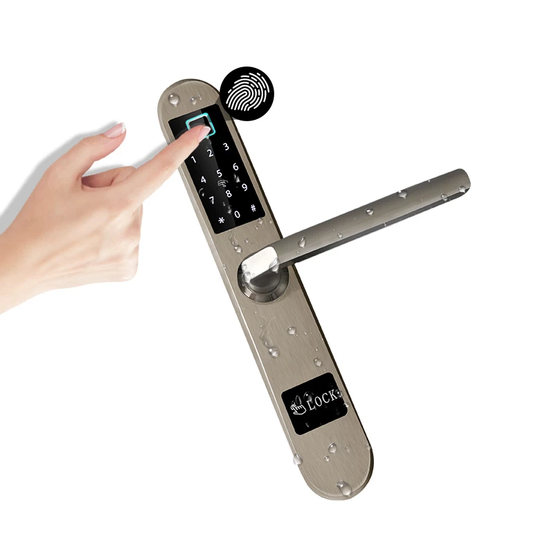 China Aluminium Glass Door Smart Lock Biometric Fingerprint Electric Keyless Digital Sliding Door Hook Lock manufacturer