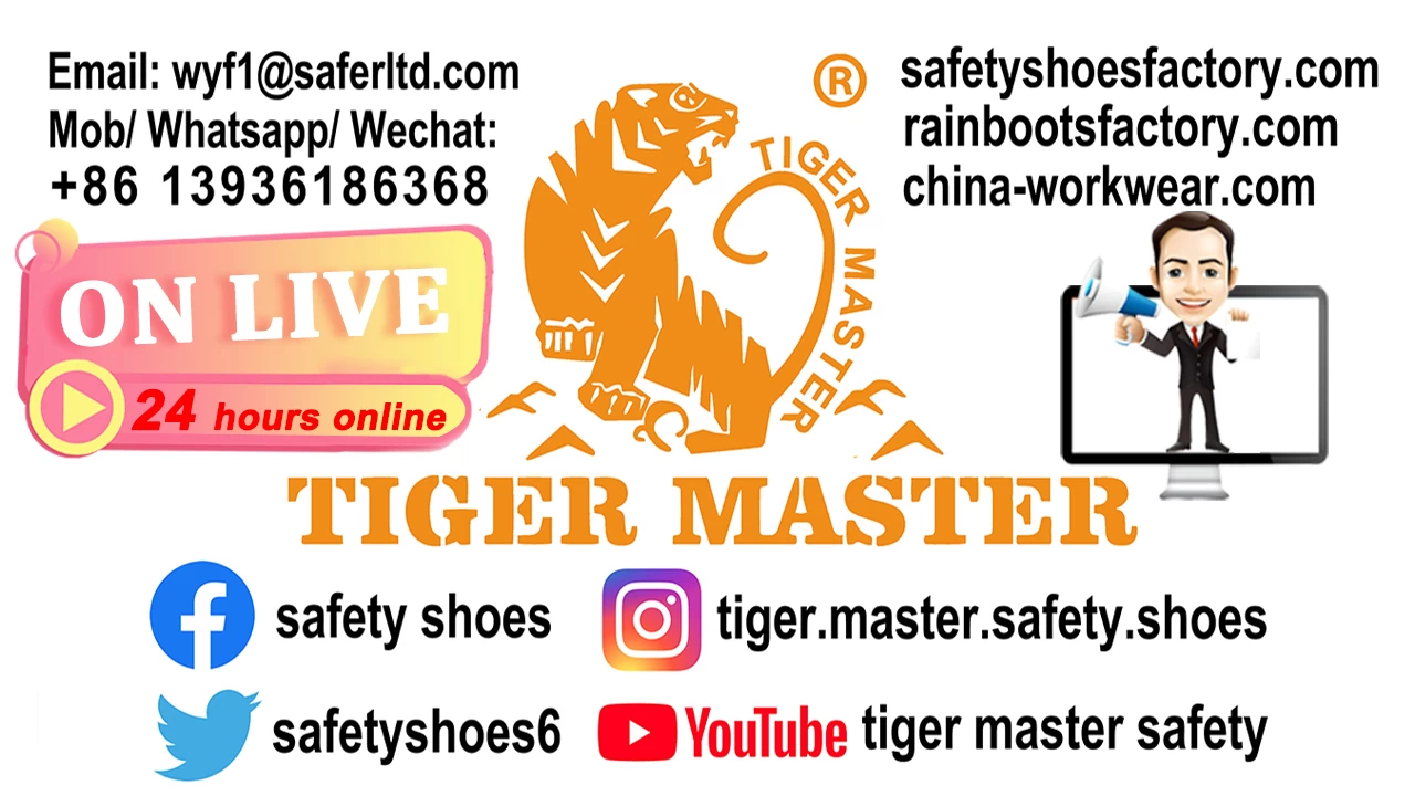 China Welcome to visit TIGER MASTER 130th online Canton Fair from October 15th to 19th in 2021. manufacturer