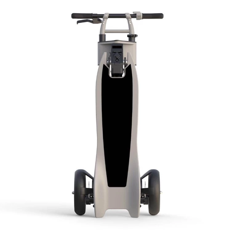 China Freego 3-Wheel Folding Electric Scooter Future 10 # ES-10X manufacturer