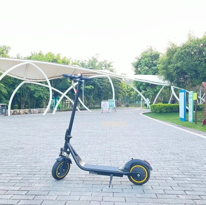 Chine Scooter électrique pliant léger de Freego E10 Pro 2 roues fabricant