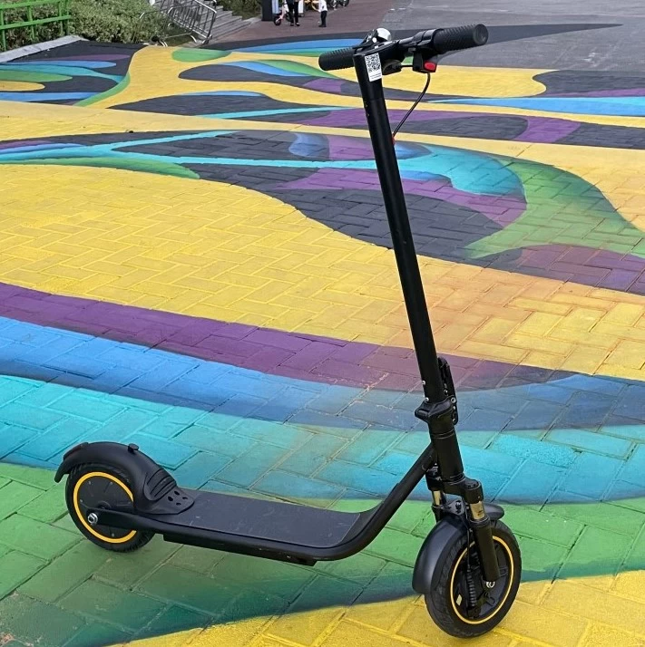 Chine Scooter électrique pliant léger de Freego E10 Pro 2 roues fabricant
