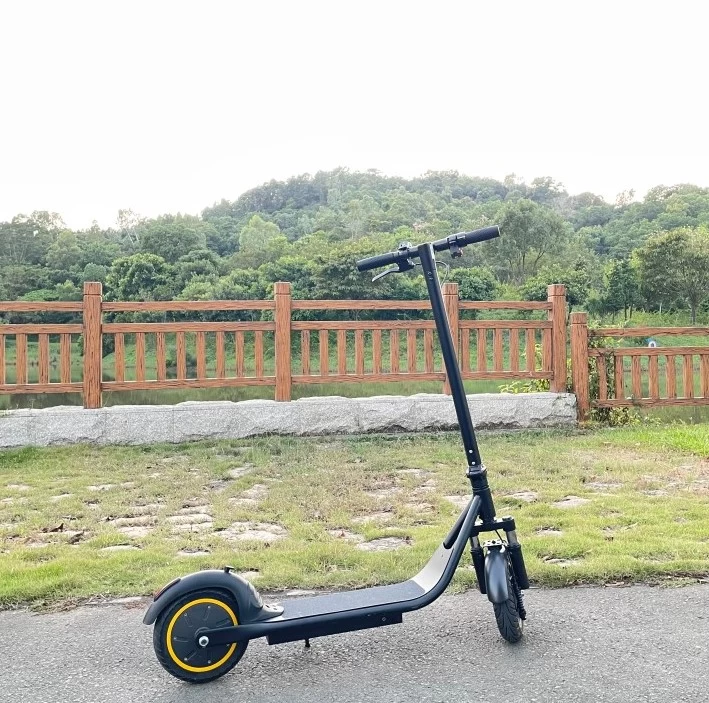 Chine Scooter électrique pliant léger de Freego E10 Pro 2 roues fabricant