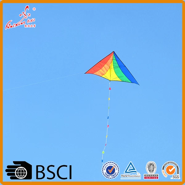 Large Kite Colorful Delta Kites for Kids and Beginners Outdoor Games Easy  to Fly, 3D Rainbow Tail, 656 ft String Reel Winder Or 330 ft String Panel