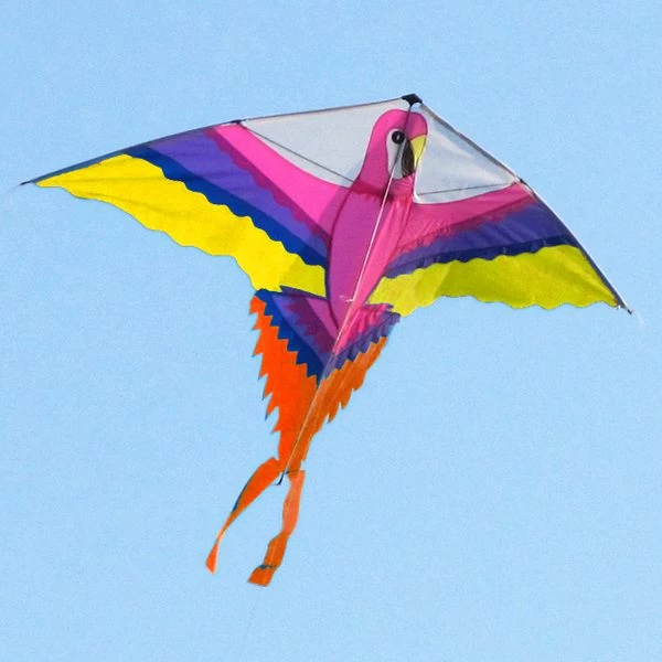Delta Easy Rainbow - Cerf-volant monofil enfant