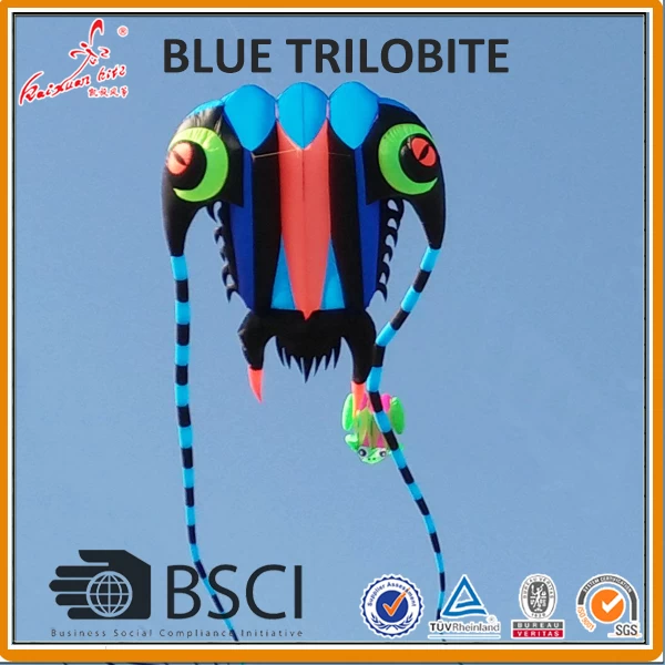 10 qm Trilobiten Pilot Kite aus Kite Factory