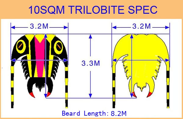 10 qm Trilobiten Pilot Kite aus Kite Factory
