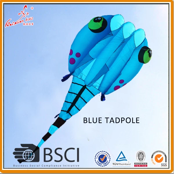 13 SQM tadpole pilot kite for adult