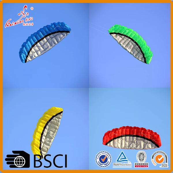 2.5 M hot sale dual line paraglider kite power kite from the kite factory