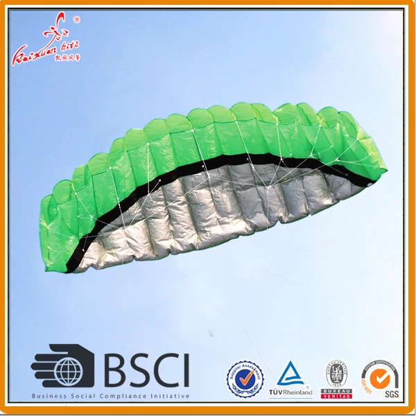 2.5 m Dual Line parafoil Kite zum Verkauf