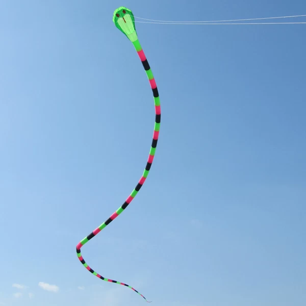 40m dual line large inflatable snake kite for sale