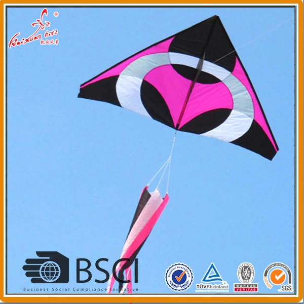 Big delta kite with windsock from kite factory