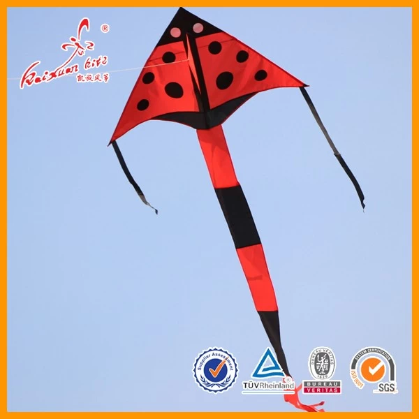 单线瓢虫三角风筝