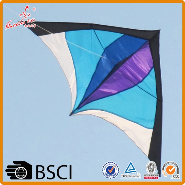 Weifang high quality delta shape kite from the kite factory