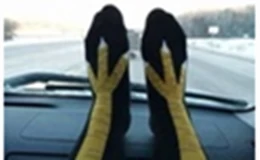 The pursuit of socks