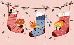 Socks raw material introduction -- cotton socks