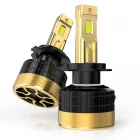 Çin 2Pcs/lot LED Headlights Gold Conversion Kit Head Lamp 120W 8000LM H1 H4 H7 HB3 HB4 9005 9012 Auto Fog Light - COPY - hv6j1b üretici firma