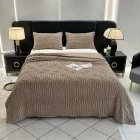 China Polyester Fleece Blanket for Promotion Bed Blankets manufacturer