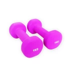 porcelana China Ladies Neoprene Dumbbell Sets Supplier fabricante