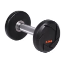 China China Manufacturer Weight Lifting Fitness Round CPU Dumbbell manufacturer