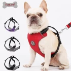 Chine Pet Harness fabricant