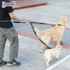 China "SPEED" Dog double leash manufacturer