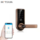 China American Standard Door Lock Phone Controlled Bluetooth APP SMS WiFi Electronic Security Keyless Digital Smart Door Lock manufacturer