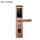 Cina Serratura di porta dell'analizzatore dell'impronta digitale biometrico Bluetooth di bronzo economico della serratura di porta moderna produttore
