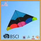 Chine Big Delta kite à vendre fabricant