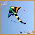 China Black Rainbow delta kite voor kinderen uit de Kaixuan Kite-fabriek fabrikant