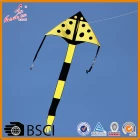 China Outdoor delta flying kite from Chinese professional kite factory manufacturer