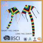 China Rainbow Delta Kite für Kids Hersteller