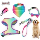 Chine Chien Laisse Poitrine Harnais Collier Ramassage Toilette Collier Laisse Gilet Pet Harnais Ensemble fabricant